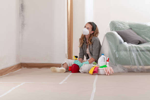 Reliable Mold Testing contractor in Sea Girt, NJ by WQB Mold Removal